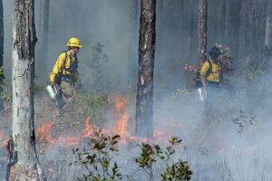 lighting-a-prescribed-fire-in-nc-on-right